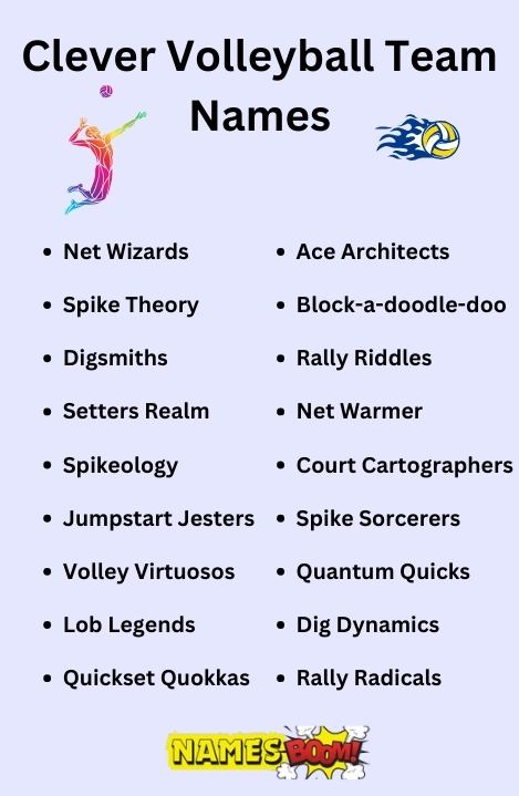 Clever Volleyball Team Names