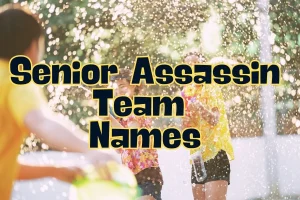Senior Assassin Team Names