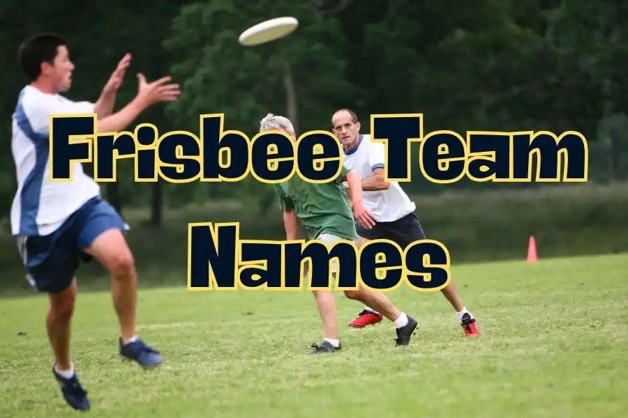 Frisbee team names
