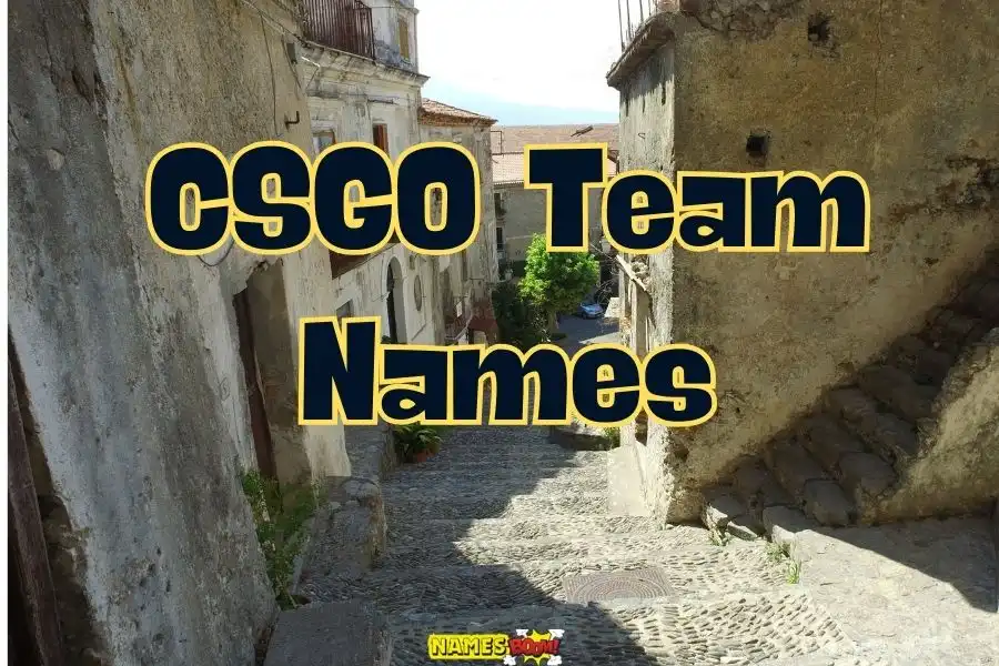 CSGO team names