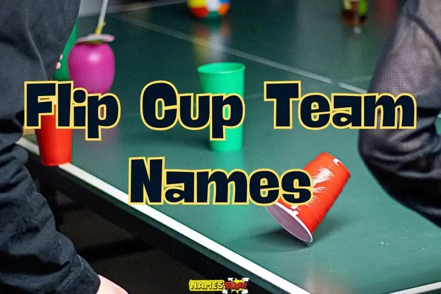 Flip cup team names