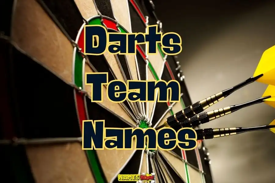 Darts team names