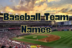 Baseball team names