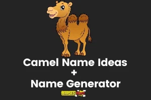 Camel Names