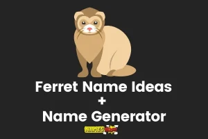 Ferret Names