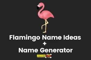 Flamingo Names