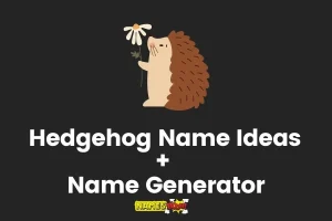 Hedgehog Names