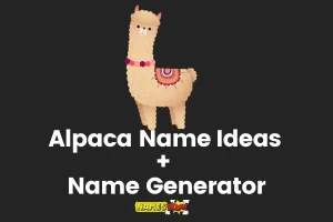 Alpaca Names