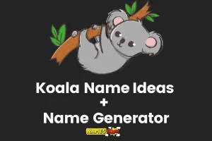 Koala Names