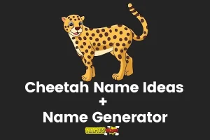 Cheetah Names