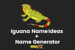 Iguana Names