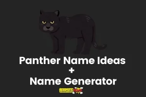 Panther Names