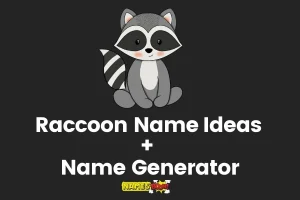 Raccoon Names