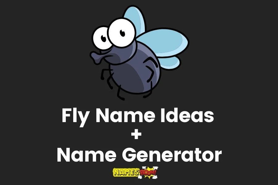 Fly Names With Generator