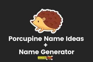 Porcupine Names