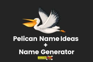 Pelican Names