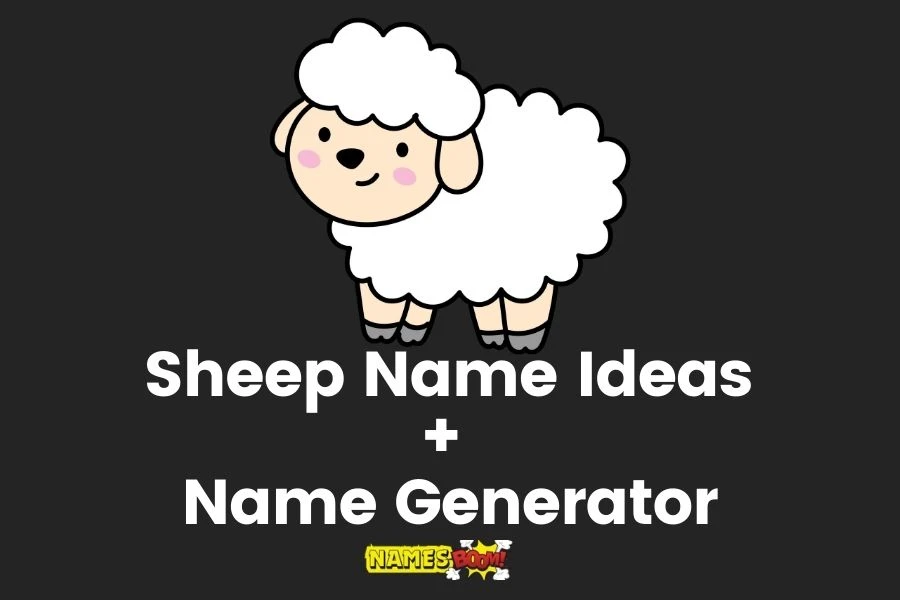 Sheep Names