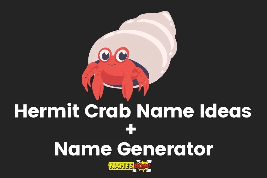 Hermit Crab Names