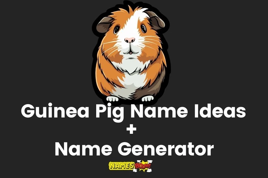 Guinea Pig Names