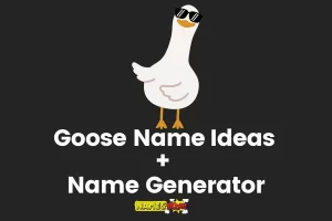 Goose Names