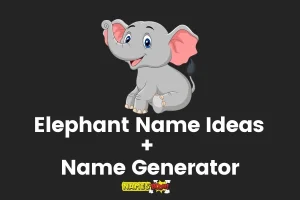 Elephant Names