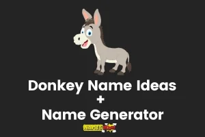 Donkey Names