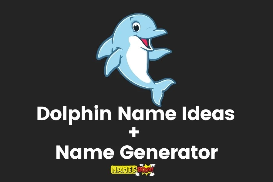 Dolphin Names