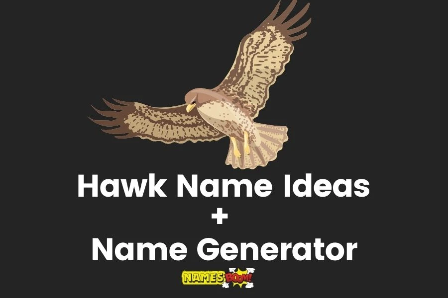 Hawk Names With Generator