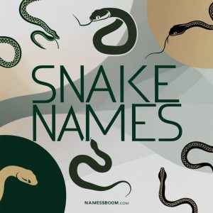 Snake Names